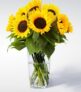 10 Sonnenblumen für nur 10€ – versandkostenfrei