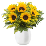 Sonnenblumenstrauß mit Solidago und Ruscus für nur 21,98 Euro inkl. Versand