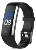 SWISSTONE SW 600 Fitnesstracker für nur 32,- Euro