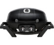 Napoleon Gasgrill TravelQ PRO285 + zusätzliche Gusseisenplatte für nur 249€ inkl. Versand