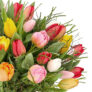 Blumenstrauß “Modern Love” mit 14 Tulpen für 32,48€ inkl. Versand