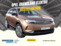 Opel Grandland für Gewerbekunden: Nur 134,86 €/Monat bei 36 Monaten Leasing