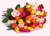 44 bunte Rosen für nur 24,94 Euro inkl. Versand