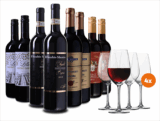 Wein Probierpaket mit 8 Falschen (4 Sorten) Rotwein aus Italien + 4 Gläser für nur 49,99 Euro