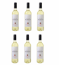 6er-Paket Bodegas y Viñedos Casa del Valle – Acantus Sauvignon Blanc nur 31,89 Euro inkl. Lieferung