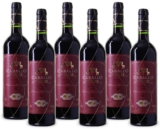 6er-Paket Caballo de Oro Tempranillo Reserva Valdepeñas DO für nur 33,- Euro