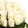 Blumenstrauß mit 50 weißen Rosen (40 cm) für nur 32,49€ (statt 50€)