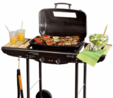 [EBAY WOW #3] Campingaz Gasgrill Primero Classic Duo Grill für nur 59,95 Euro inkl. Versand